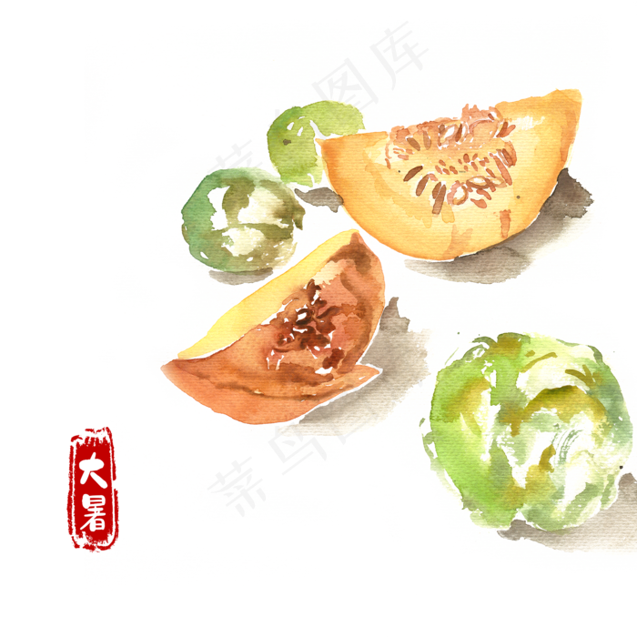 大暑南瓜与卷心菜(4724X4724(DPI:300))psd模版下载