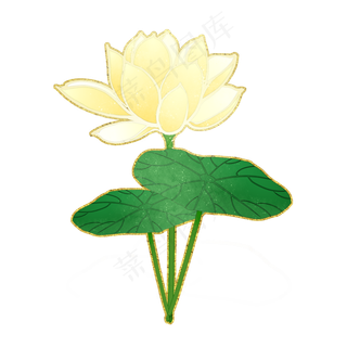 杏黄荷花中国风花卉PNG素材