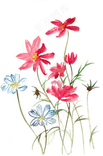 摇曳的小花水彩画PNG免抠素材
