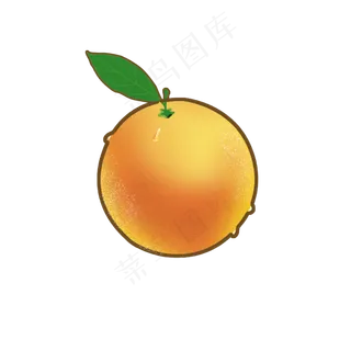 矢量绿叶橙子