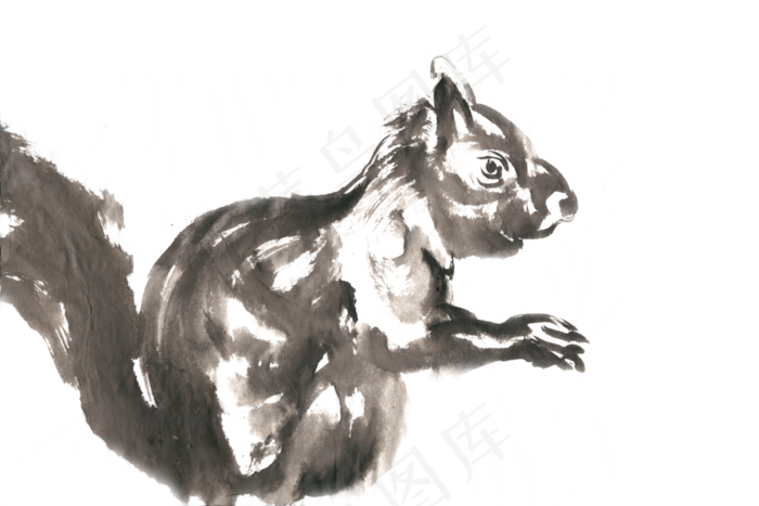可爱的小松鼠水墨画PNG免抠素材