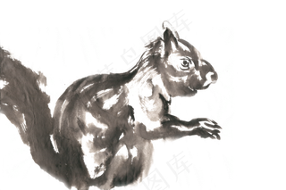 可爱的小松鼠水墨画PNG免抠素材