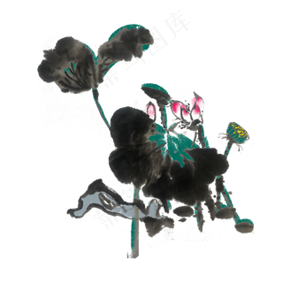 夏季荷花水墨手绘