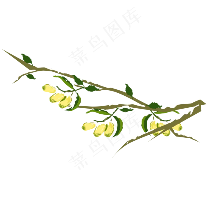 冬季结霜冬枣树(2000*2000px 300 dpi )ai矢量模版下载