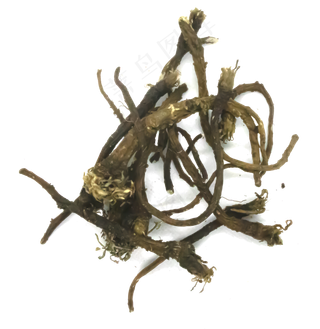 中医药材蒲公英根,免抠元素