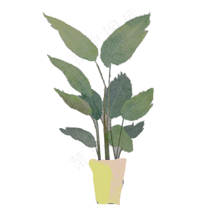 手绘小清新植物盆栽插画,免抠元素