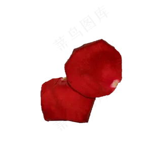 红玫瑰花瓣实拍（png免抠）