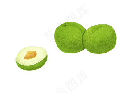 二十四节气芒种青梅