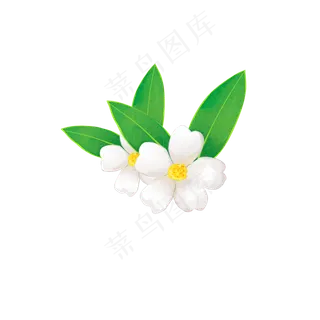 春季花卉白色山茶花装饰图案PNG,免抠元素 春季花卉白色山茶花装饰图案PNG,免抠元素