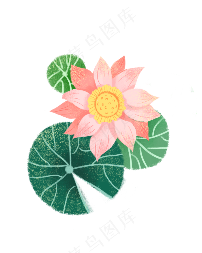 夏季池塘荷叶荷花素材(2000X2500(DPI:300))psd模版下载