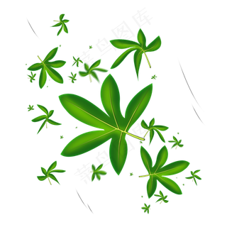 被风吹落的漂浮绿树叶子