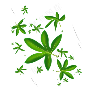 被风吹落的漂浮绿树叶子