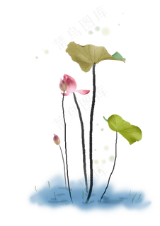 大暑小暑手绘荷花荷叶