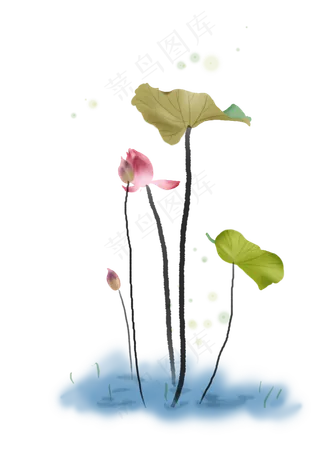 大暑小暑手绘荷花荷叶