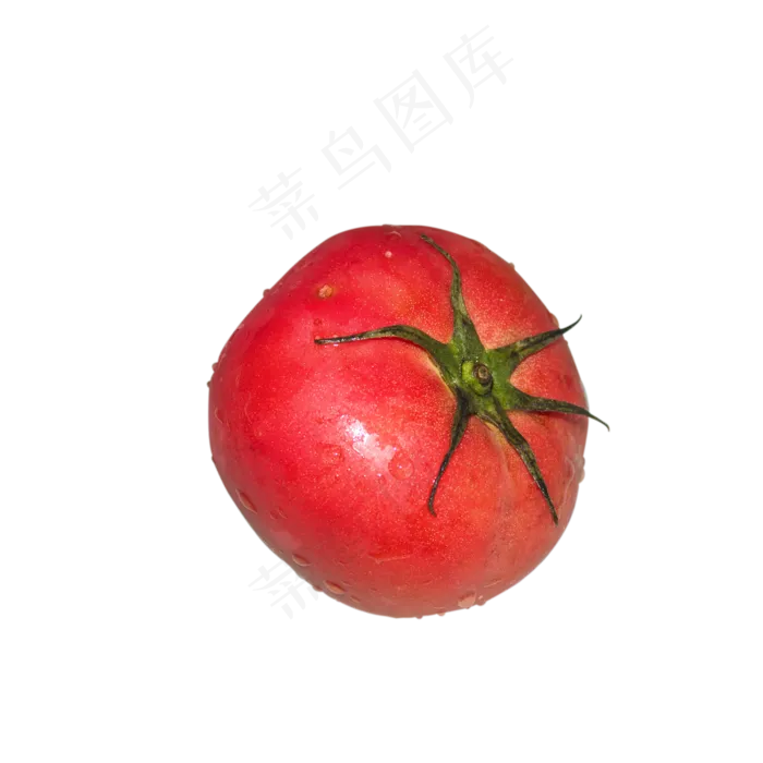 带水珠的红色番茄(3000X3000(DPI:300))psd模版下载