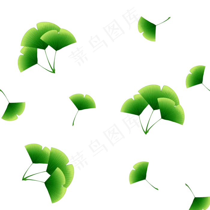 绿色植物叶子手绘银杏叶透明底免(2000X2000(DPI:299))psd模版下载