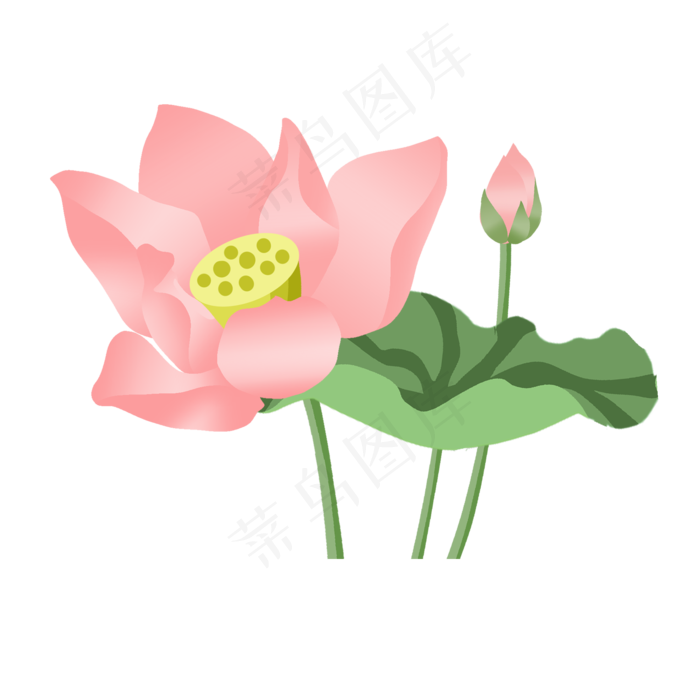 手绘中国风荷花插画