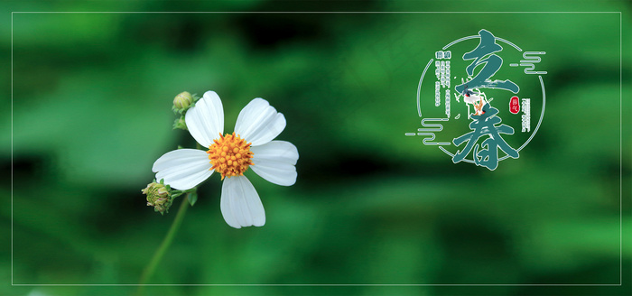小清新绿色二十四节气banner背景