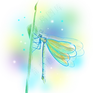 梦幻蜻蜓昆虫树叶