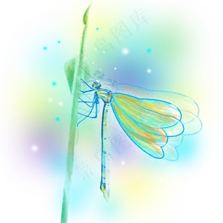 梦幻蜻蜓昆虫树叶