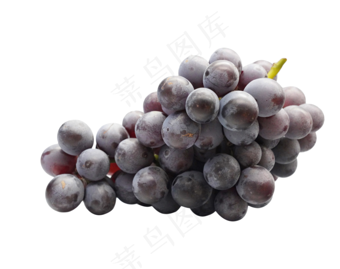 新鲜水果巨峰葡萄