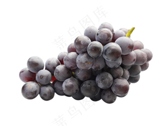 新鲜水果巨峰葡萄