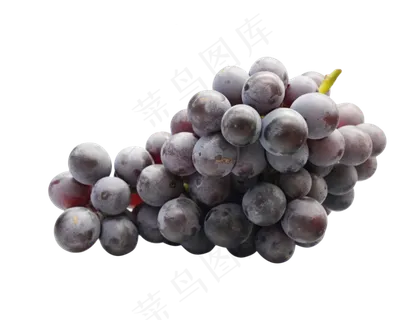 新鲜水果巨峰葡萄 新鲜水果巨峰葡萄