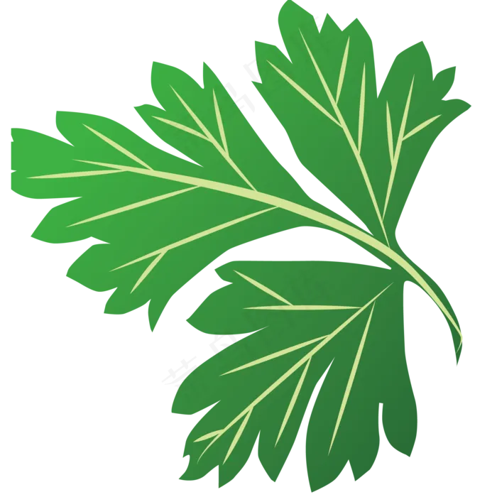 艾草叶子矢量图