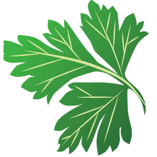 艾草叶子矢量图