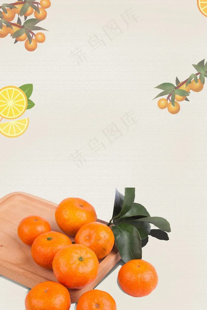 小清新新鲜蜜桔水果(3545*5315px 	      )psd模版下载