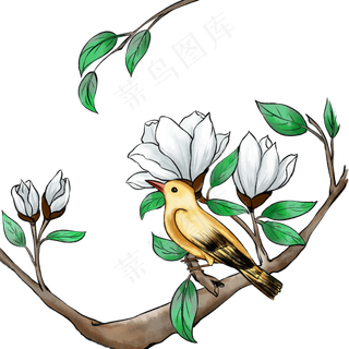 中国风白玉兰和鸟,免抠元素