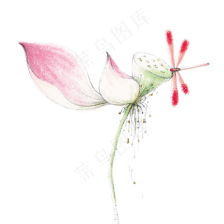 夏天荷花蜻蜓水墨