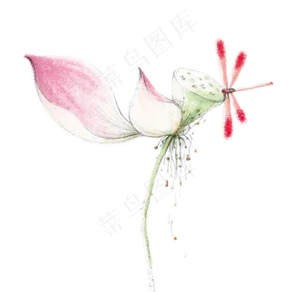 夏天荷花蜻蜓水墨