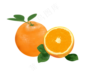 橙子手绘png下载