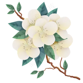 春天白色梨花,免抠元素 春天白色梨花,免抠元素