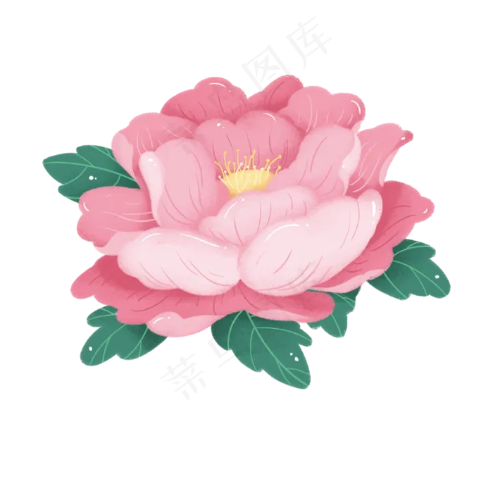 牡丹花国色天香(3000X3000(DPI:300))psd模版下载