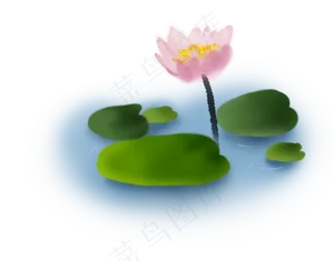 夏至手绘淡彩莲花,免抠元素