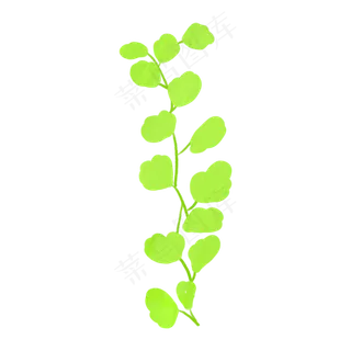 春天绿色一串爬山虎