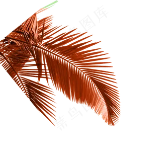 卡通植物叶子免抠图