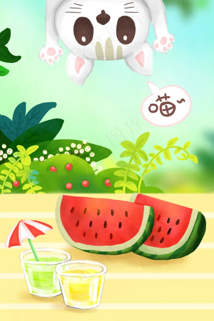 夏天立夏夏日初夏夏至大暑猫咪西瓜冷饮