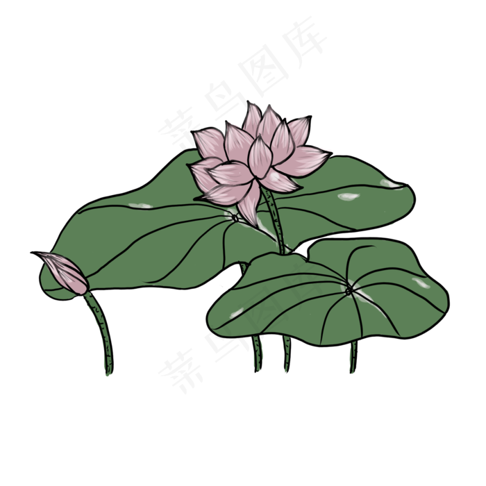 手绘中国风荷花PNG素材(2000X2000(DPI:300))psd模版下载