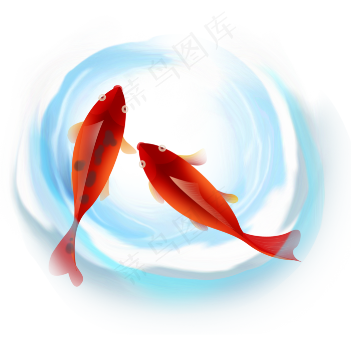 水里的红色鲤鱼(2000X2000(DPI:299))psd模版下载