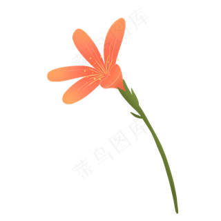 粉红色小清新小花