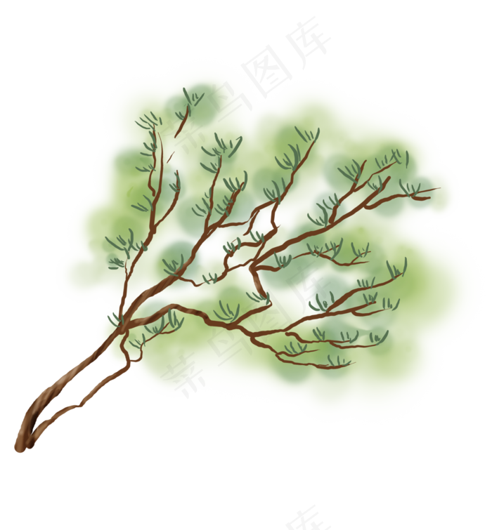 中国风水墨一颗松树