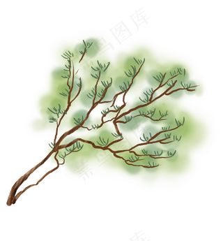 中国风水墨一颗松树