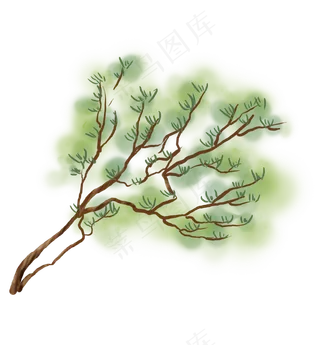 中国风水墨一颗松树