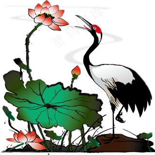 手绘中国风水墨仙鹤丹顶鹤荷花荷,免抠元素