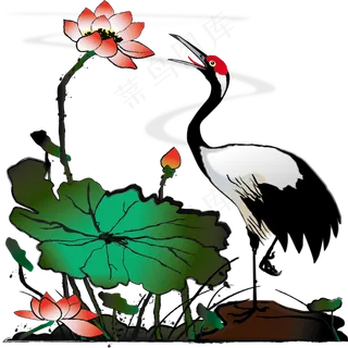 手绘中国风水墨仙鹤丹顶鹤荷花荷,免抠元素