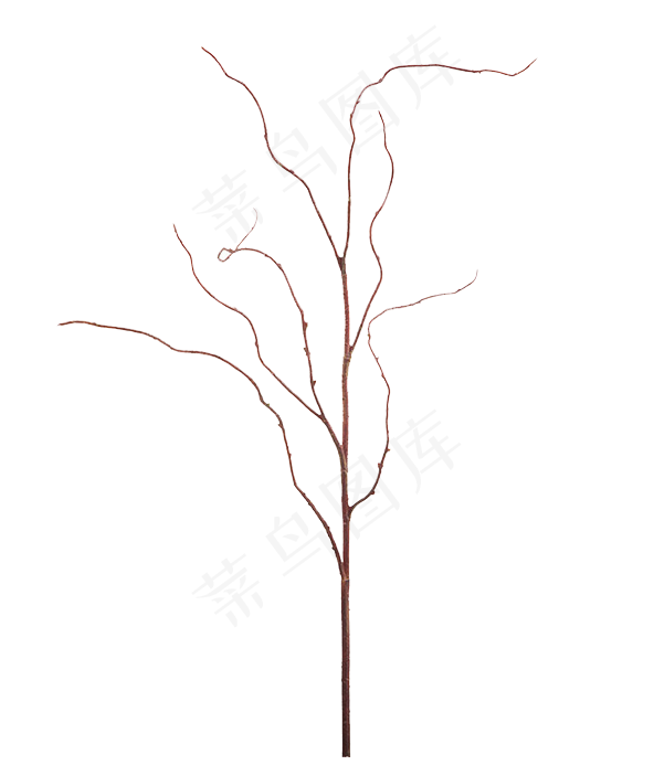 树枝素材(2480X3508(DPI:299))