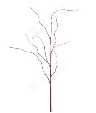 树枝素材
